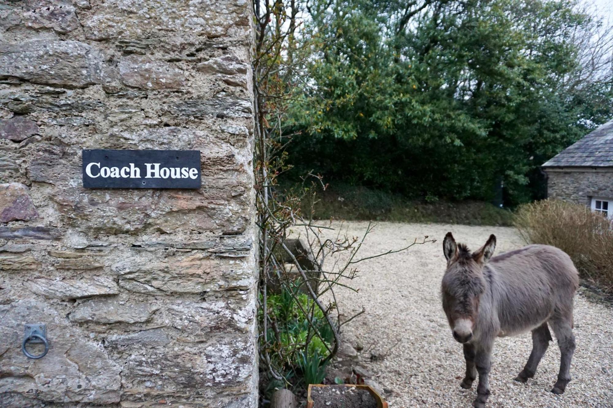 Beachborough Country House Barnstaple Eksteriør bilde